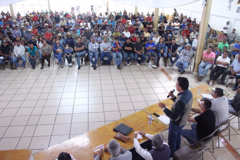 Titular de SEMACCDET pide a productores de la ciénaga de Zacapu propuestas para mitigar daños ecológicos