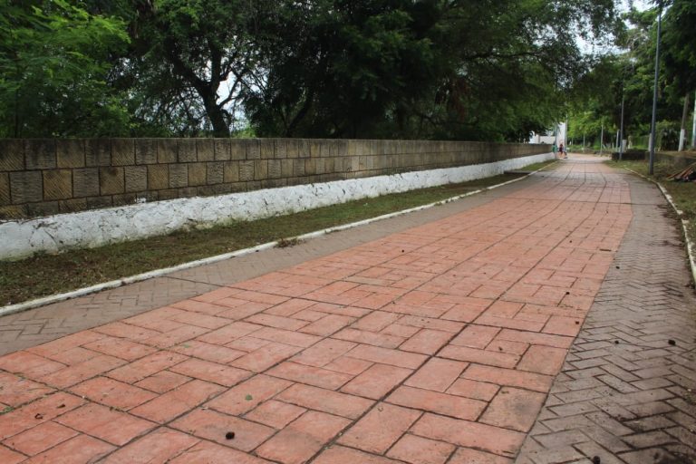 Sigue Ayuntamiento con programa de mejora y embellecimiento de avenidas