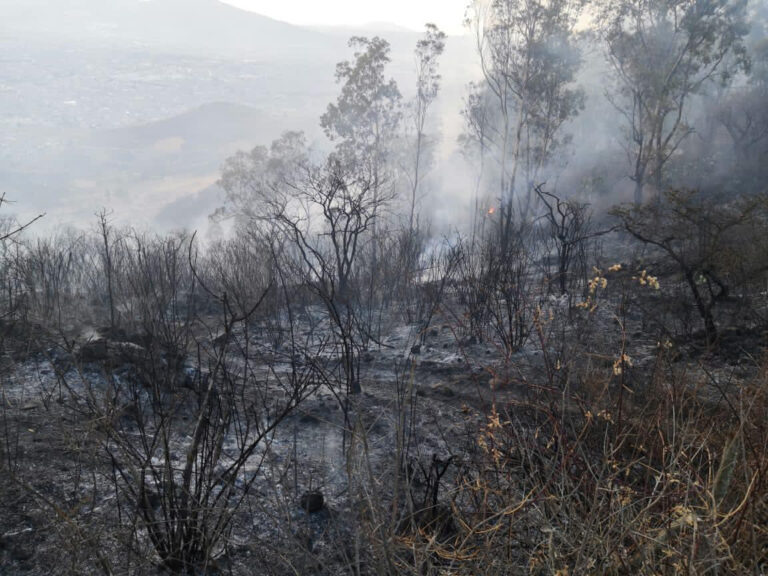 Controlado el incendio en el Cerro el Punhuato